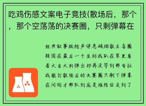 吃鸡伤感文案电子竞技(散场后，那个，那个空荡荡的决赛圈，只剩弹幕在问谁陪我走到最后)